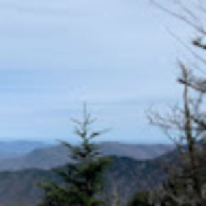 Meet your Posher, Claire